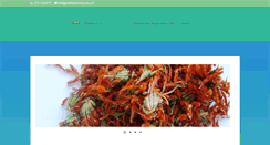 Desktop Screenshot of globalfusionnaturals.com