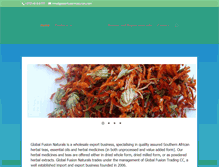 Tablet Screenshot of globalfusionnaturals.com